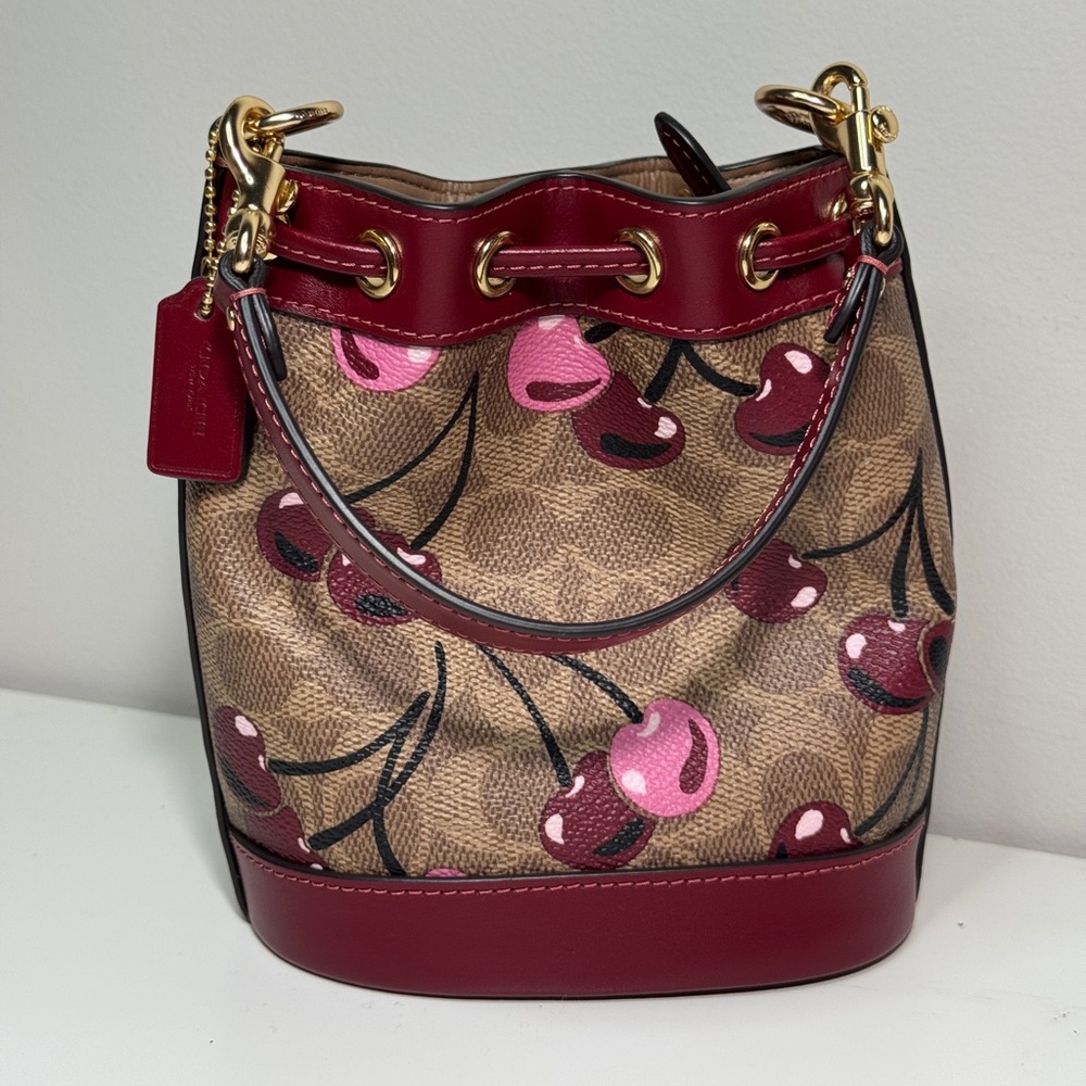 Coach Cherry Print Crossbody Bag - Red and Brown - Picture 4 of 7